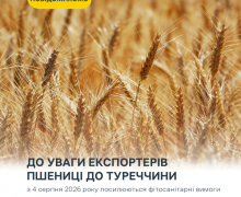 До уваги осіб, що здійснюють експорт пшениці до Турецької Республіки